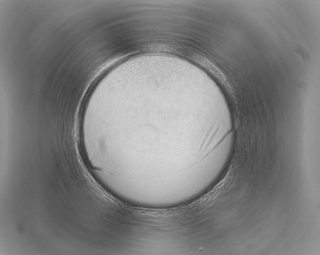 X0000115151028200912081342