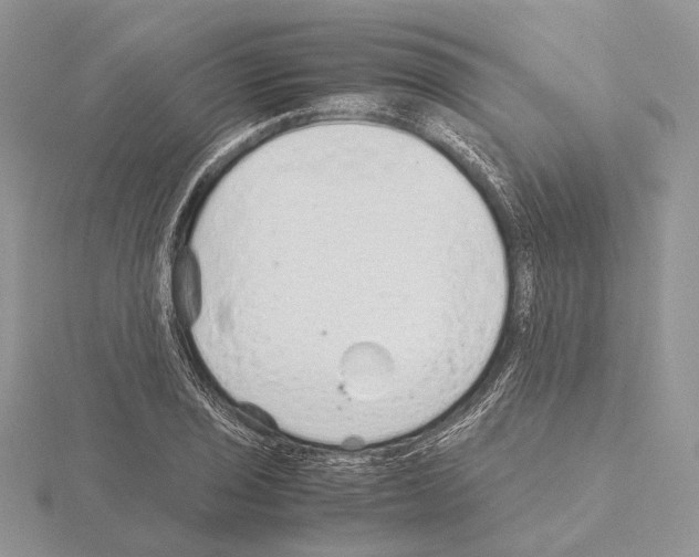 X0000115151029200912081342