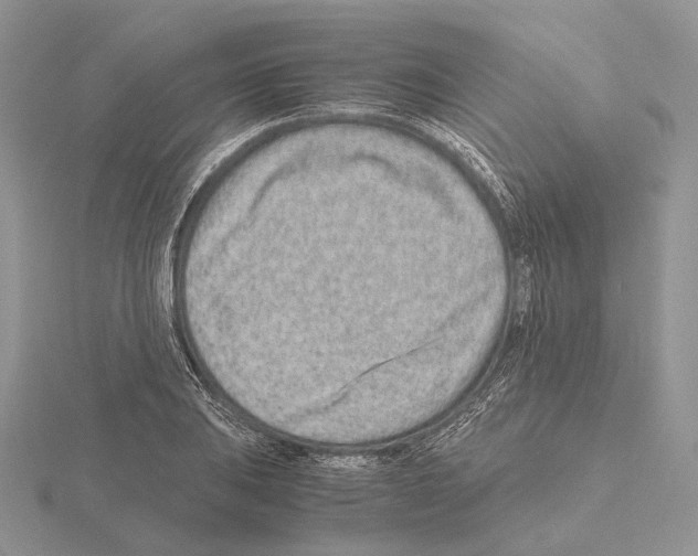 X0000115151031200912081342