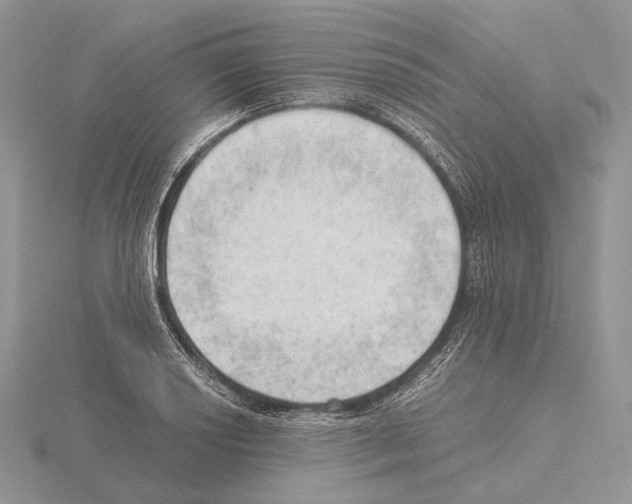 X0000115151034200912081342