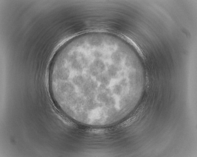 X0000115151035200912081342