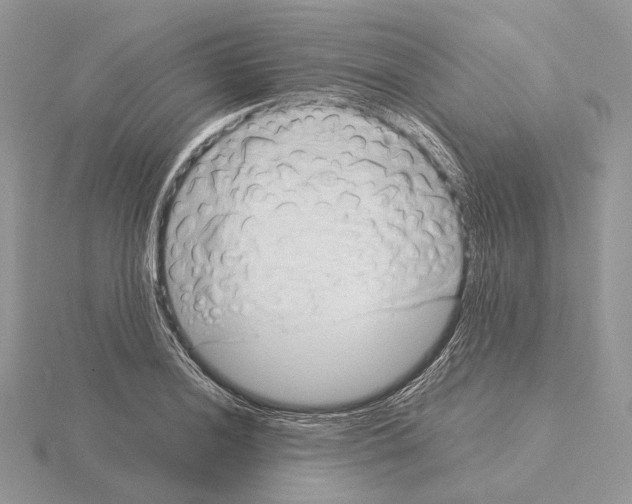 X0000115151036200912081342