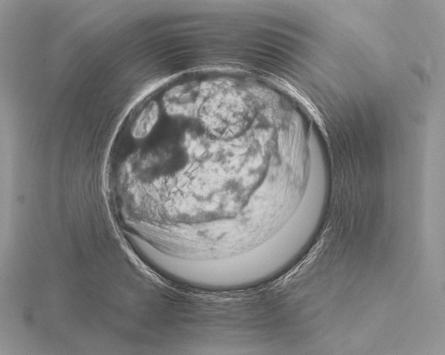 X0000115151037200912081342