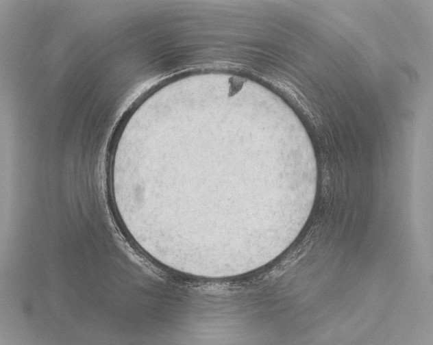 X0000115151038200912081342