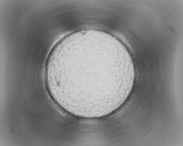 X0000115151040200912081342