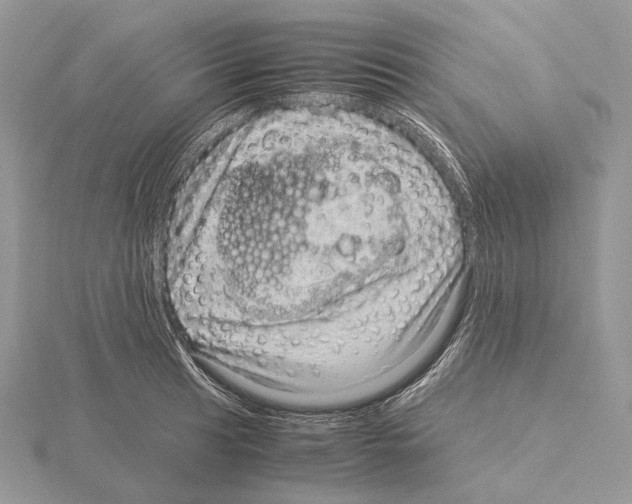 X0000115151041200912081342