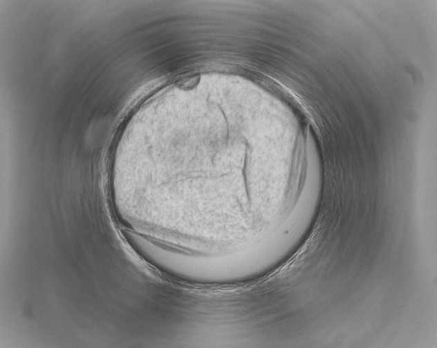 X0000115151042200912081342