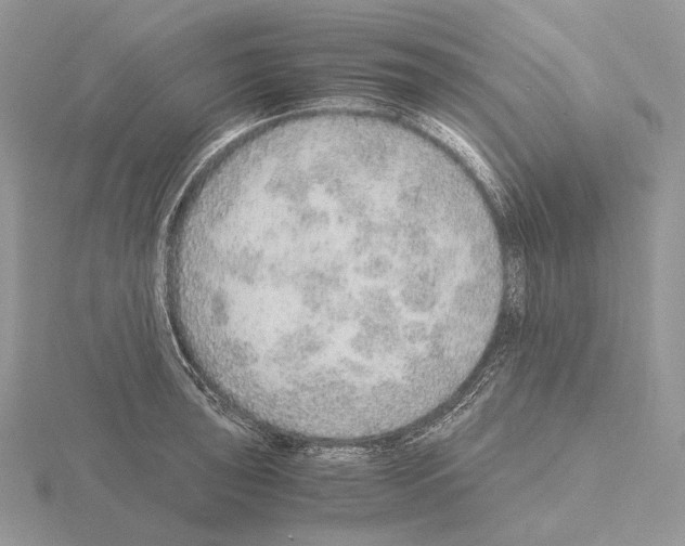 X0000115151043200912081342