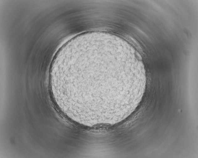 X0000115151044200912081342