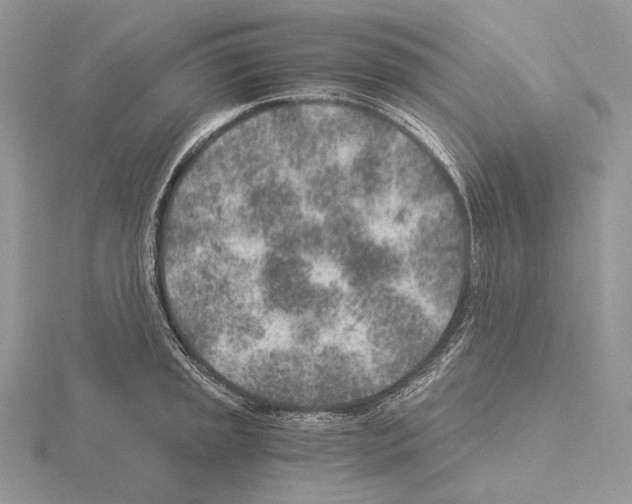 X0000115151045200912081342