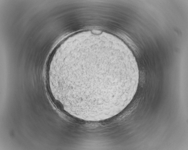 X0000115151046200912081342