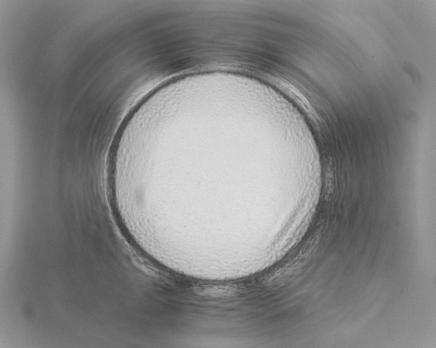 X0000115151047200912081342