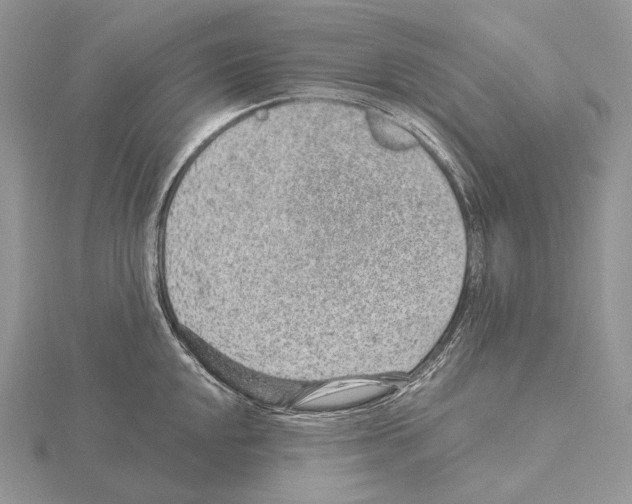 X0000115151048200912081342