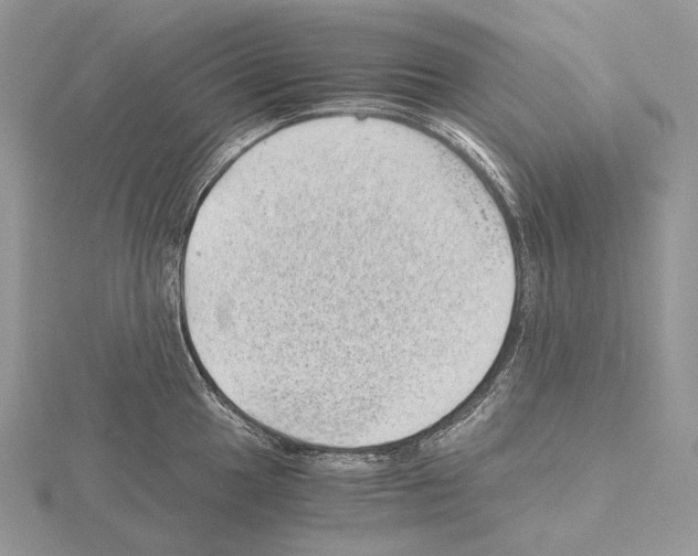 X0000115151049200912081342