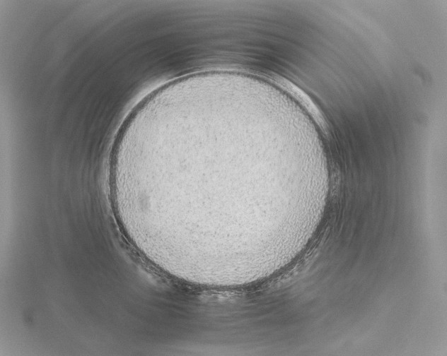 X0000115151051200912081342