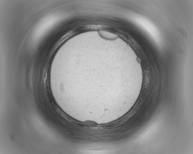 X0000115151052200912081342