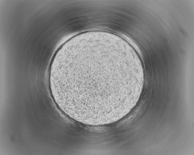 X0000115151053200912081342