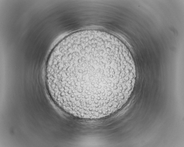 X0000115151054200912081342