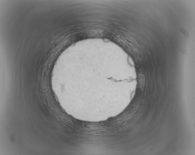 X0000115151057200912081342