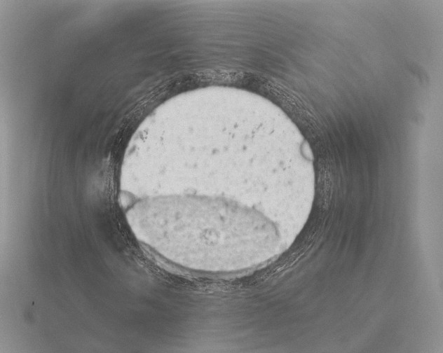 X0000115151058200912081342