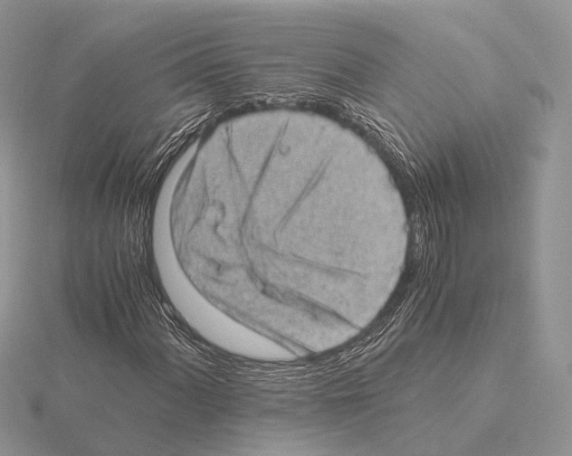 X0000115151060200912081342