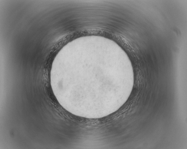 X0000115151062200912081342