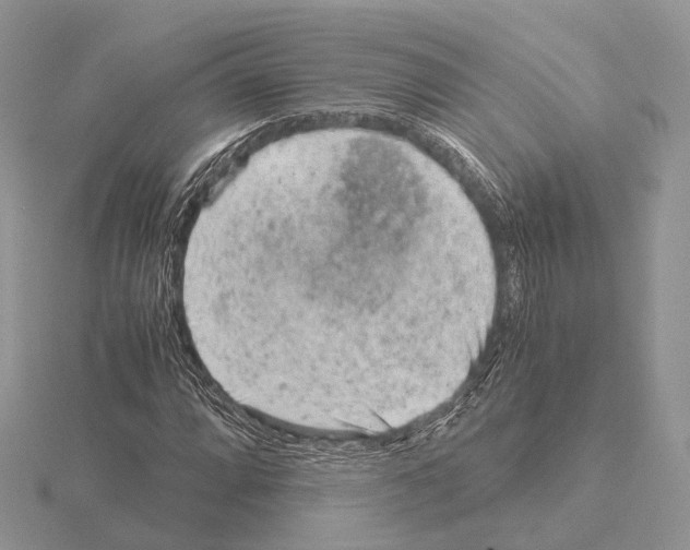 X0000115151064200912081342