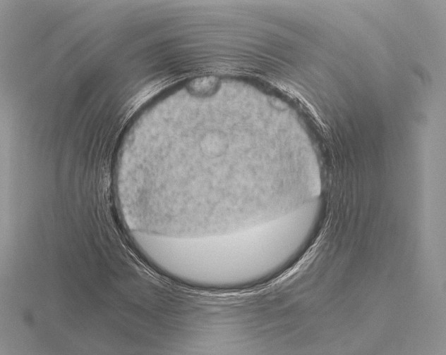 X0000115151065200912081342