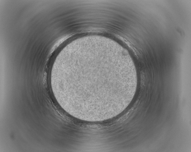 X0000115151066200912081342