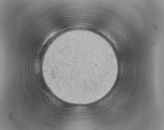 X0000115151067200912081342