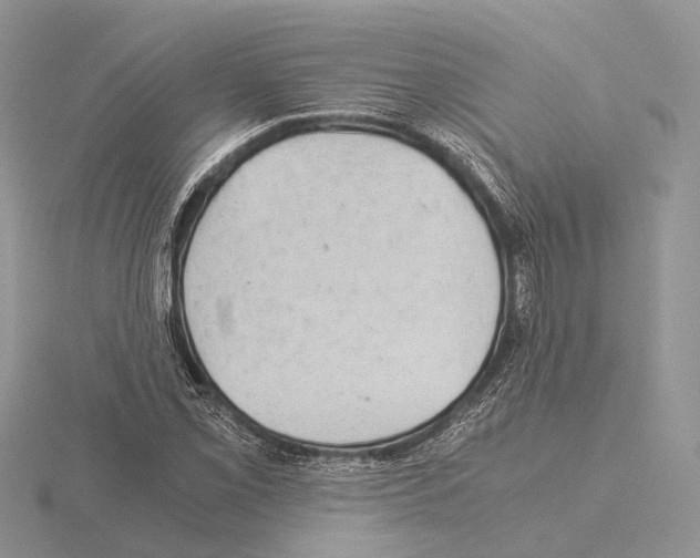 X0000115151069200912081342