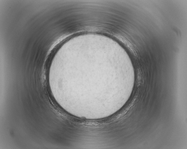 X0000115151070200912081342