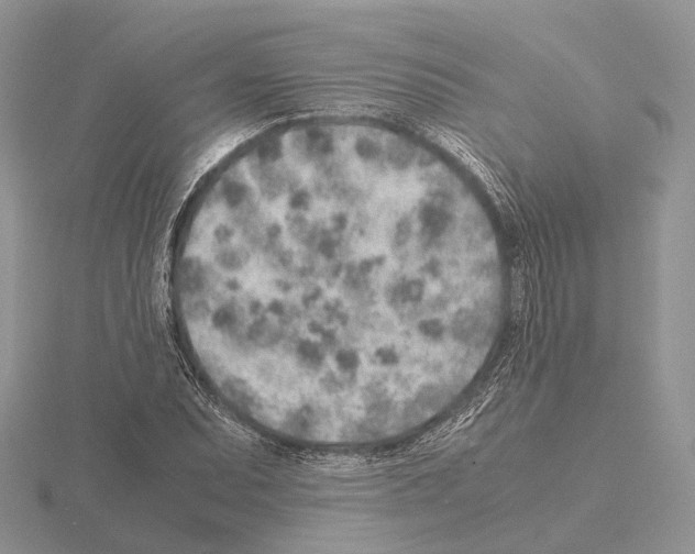 X0000115151071200912081342