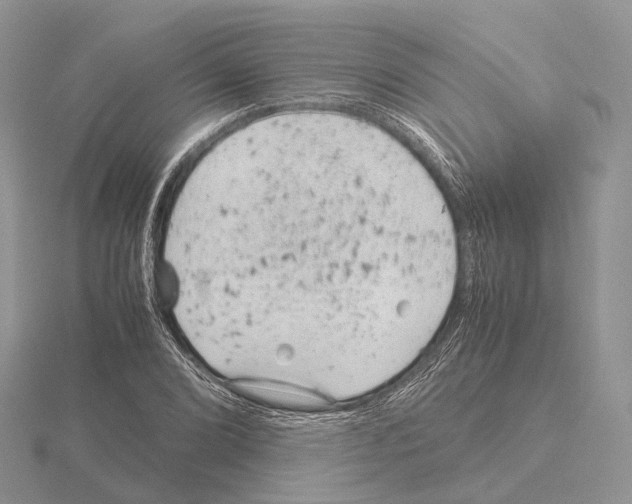 X0000115151072200912081342