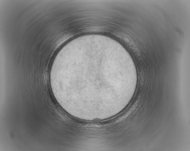 X0000115151073200912081342