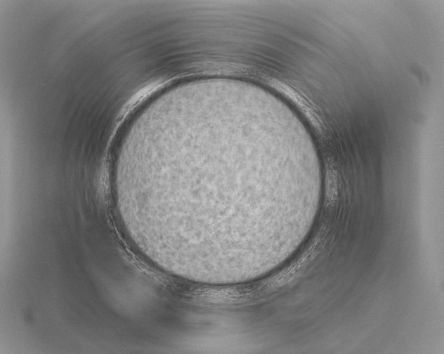 X0000115151074200912081342