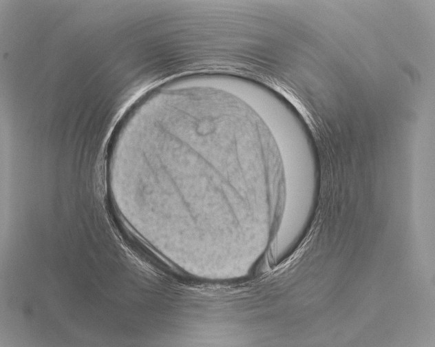 X0000115151075200912081342