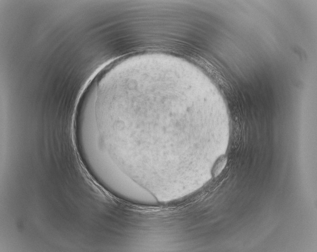 X0000115151076200912081342