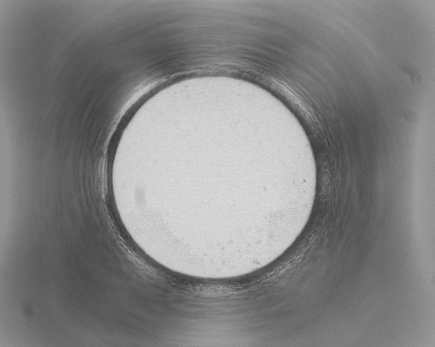 X0000115151079200912081342