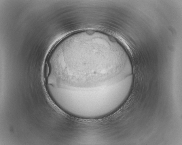 X0000115151080200912081342