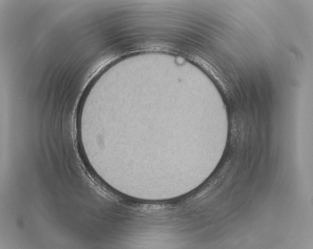 X0000115151082200912081342