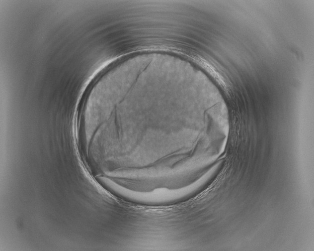 X0000115151084200912081342