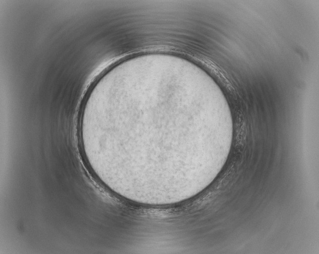 X0000115151086200912081342