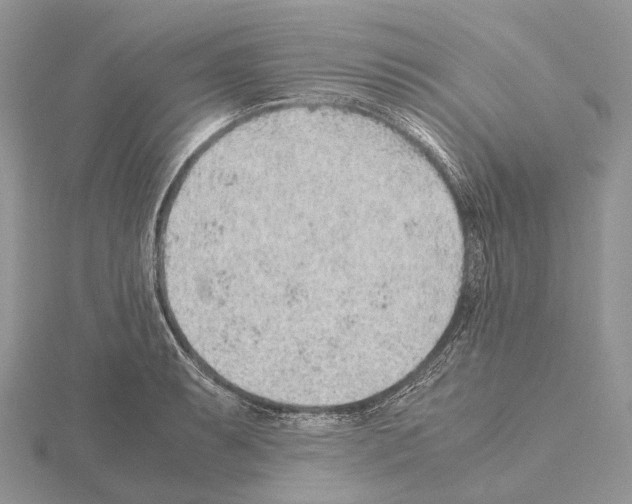 X0000115151087200912081342