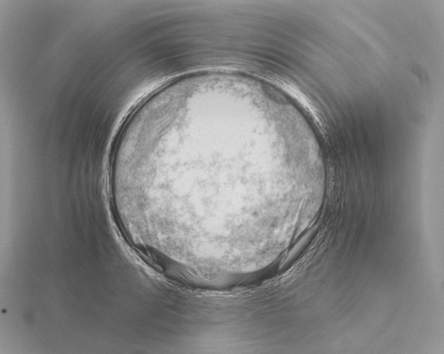 X0000115151088200912081341