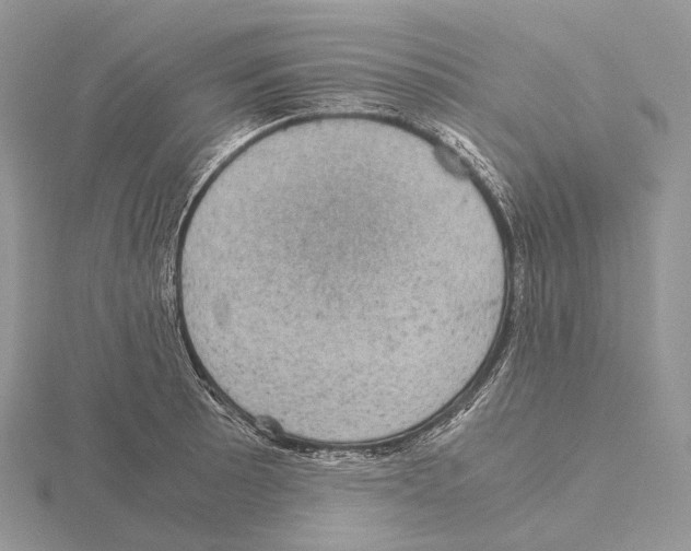 X0000115151089200912081341