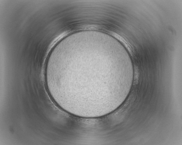 X0000115151090200912081341