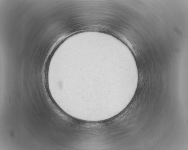 X0000115151091200912081341