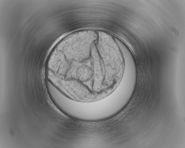 X0000115151092200912081341