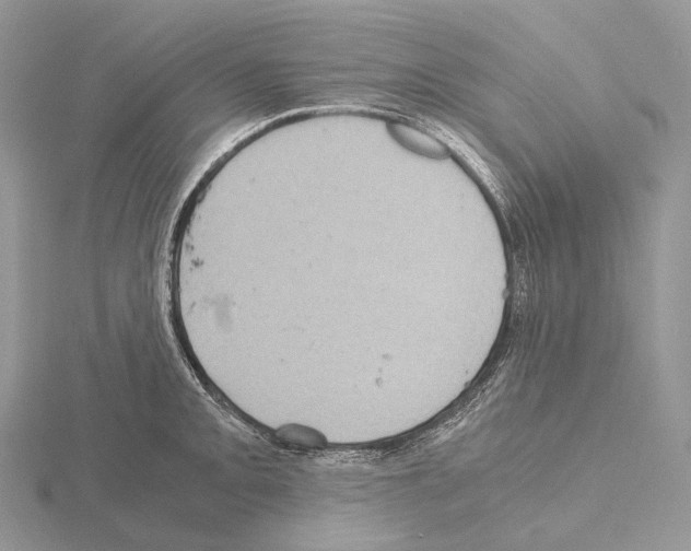 X0000115151093200912081341